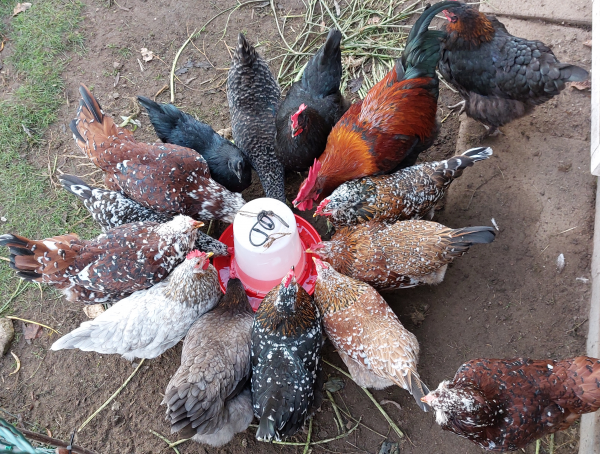 dztttttttttttttttttttttttttttt