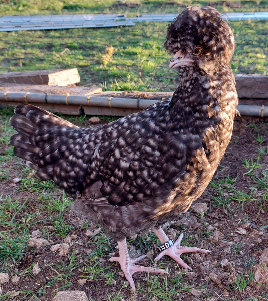 tttttttttttttttttttttttttttttttttttttttttttttttttttttttttttttttttttttt